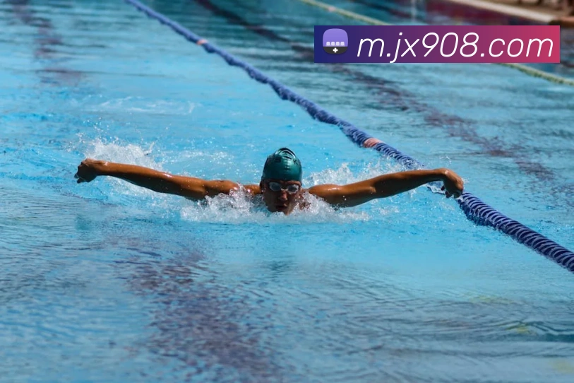 App Interface Preview